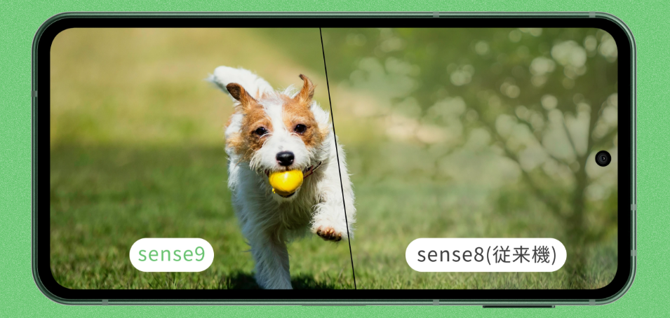 AQUOS sense9 ディスプレイ