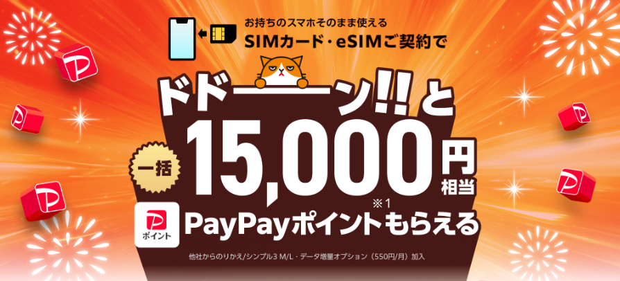 SIM契約+新どこでももらえる特典21,000円相当のPayPayポイント