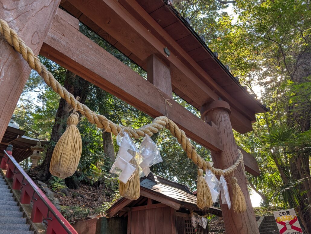Google Pixel 10 Pro 作例